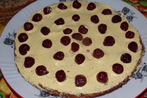 Desert tort Sebastian