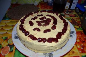 Desert tort Sebastian