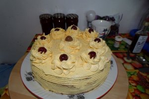 Desert tort Sebastian