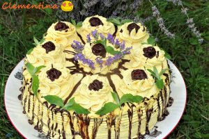 Desert tort Sebastian