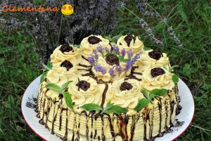 Desert tort Sebastian