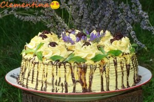 Desert tort Sebastian