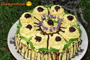 Desert tort Sebastian