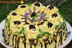 Desert tort Sebastian