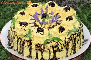 Desert tort Sebastian