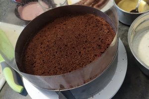 Desert tort cu afine si ciocolata alba