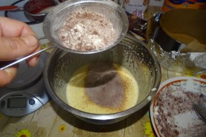 Desert tort Maria