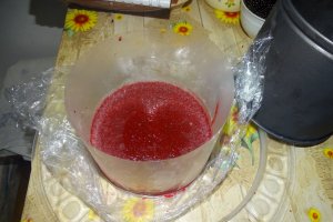 Desert tort Maria