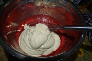Desert tort Maria