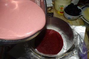 Desert tort Maria