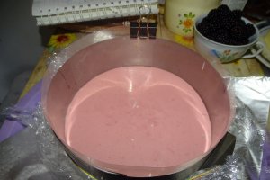 Desert tort Maria