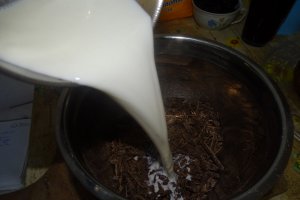 Desert tort Maria