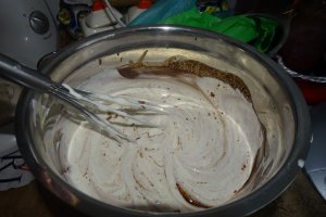 Desert tort Maria