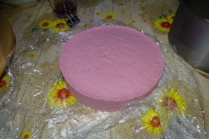 Desert tort Maria