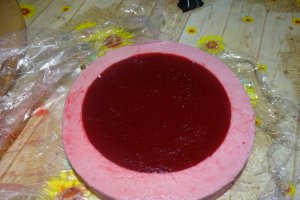 Desert tort Maria