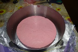Desert tort Maria