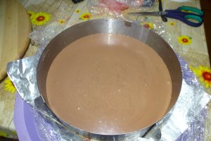 Desert tort Maria