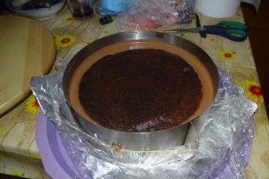 Desert tort Maria