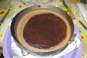 Desert tort Maria