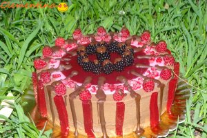 Desert tort Maria
