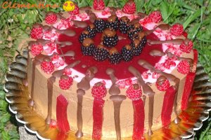 Desert tort Maria