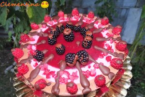 Desert tort Maria