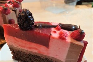 Desert tort Maria
