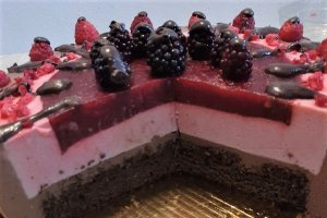 Desert tort Maria