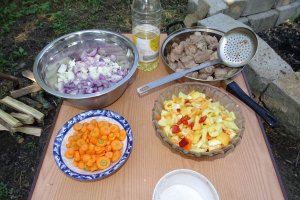 Tocana sau ceaunata-wok