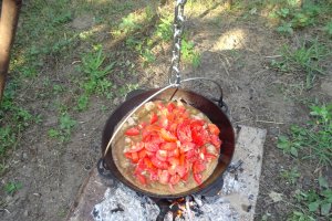 Tocana sau ceaunata-wok