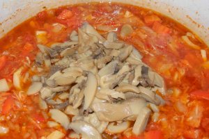 Pui cacciatore