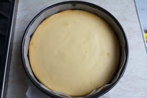 Desert New York cheesecake