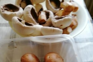 Muschi de vita in foietaj