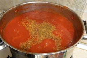 Ketchup de casa