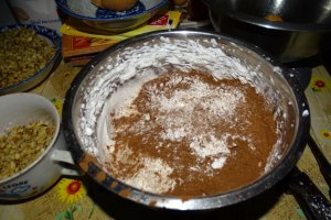 Desert tort Cati si George