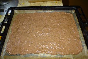 Desert tort Cati si George