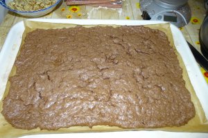 Desert tort Cati si George