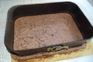 Desert tort Cati si George