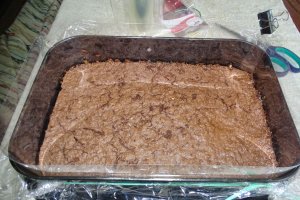 Desert tort Cati si George
