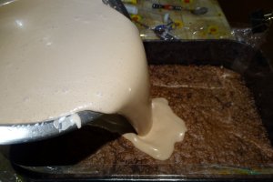 Desert tort Cati si George