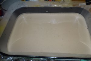 Desert tort Cati si George