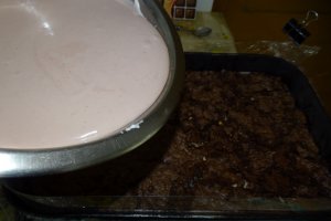 Desert tort Cati si George