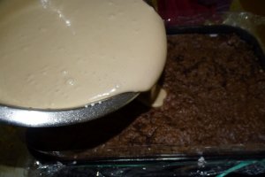 Desert tort Cati si George