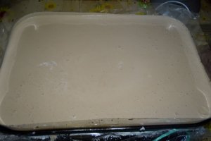 Desert tort Cati si George
