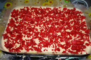 Desert tort Cati si George