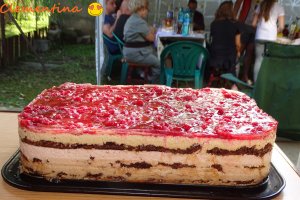 Desert tort Cati si George