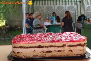 Desert tort Cati si George