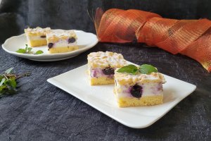 Desert prajitura cu iaurt si afine