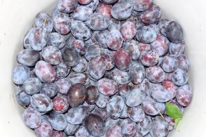 Gem de prune vinete cu nuci coapte