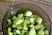 Salata de avocado si castraveti-4